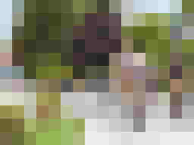 Radfahrende Gruppen genießen den motorfreien Tag am Obertrumersee im sonnigen Sommer.