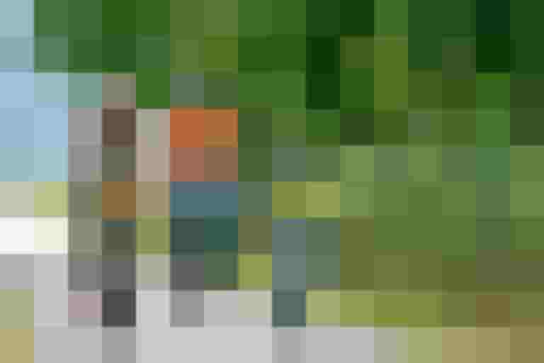 Familie fährt gemeinsam mit Fahrrädern auf einem Schotterweg in der Natur.