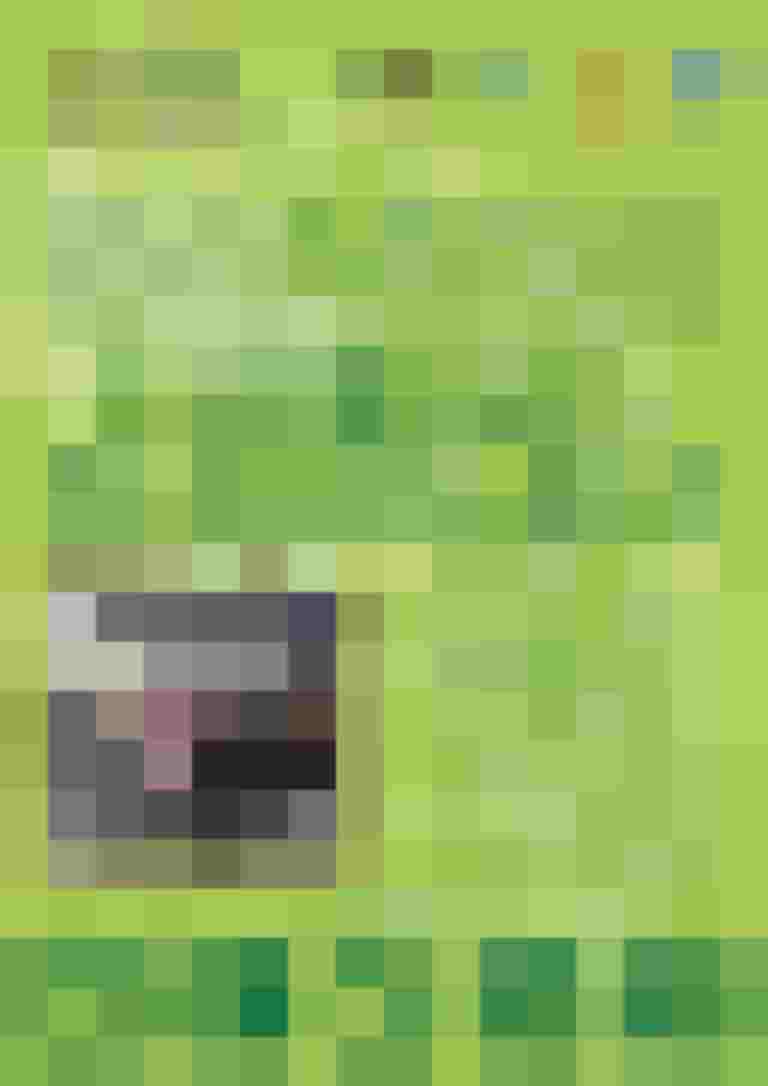 Fahrrad-Flohmarkt in Bischofshofen mit Angeboten und Aktivitäten rund ums Radfahren.