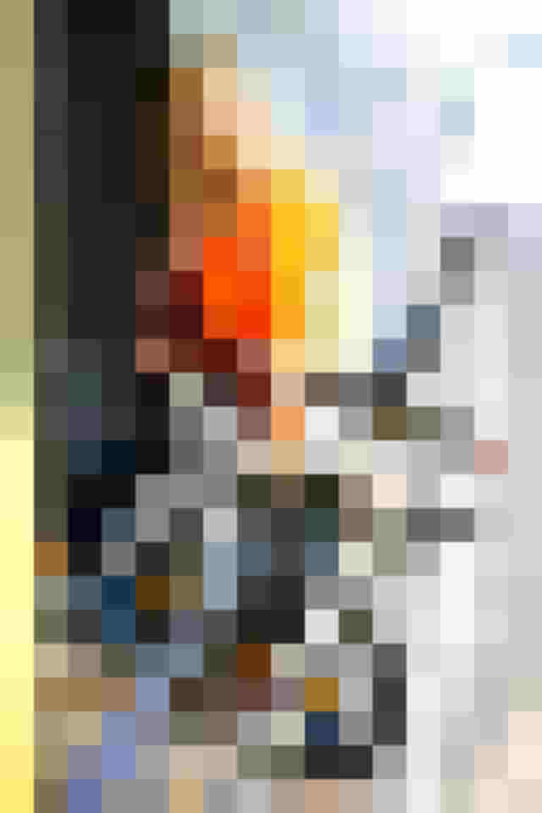 Frau mit Faltrad beim Betreten eines ÖBB-Zuges, um Fahrradmitnahme zu zeigen.