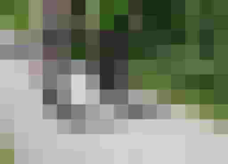 Radfahrende auf einem Weg in Salzburg, umgeben von grüner Natur.