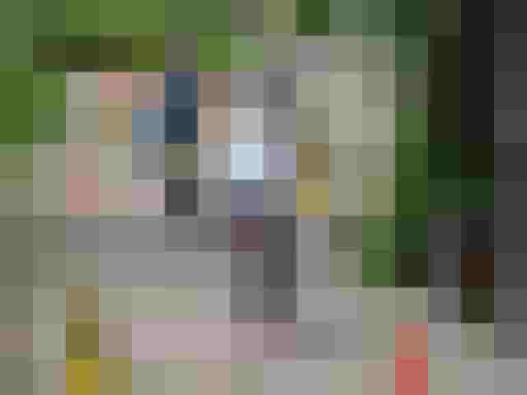 Kinder üben Geschicklichkeit und Gleichgewicht auf Fahrrädern zwischen Pylonen.