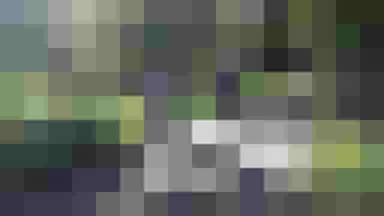 Zwei Radfahrer auf einem sonnigen Radweg, umgeben von grüner Natur in Salzburg.