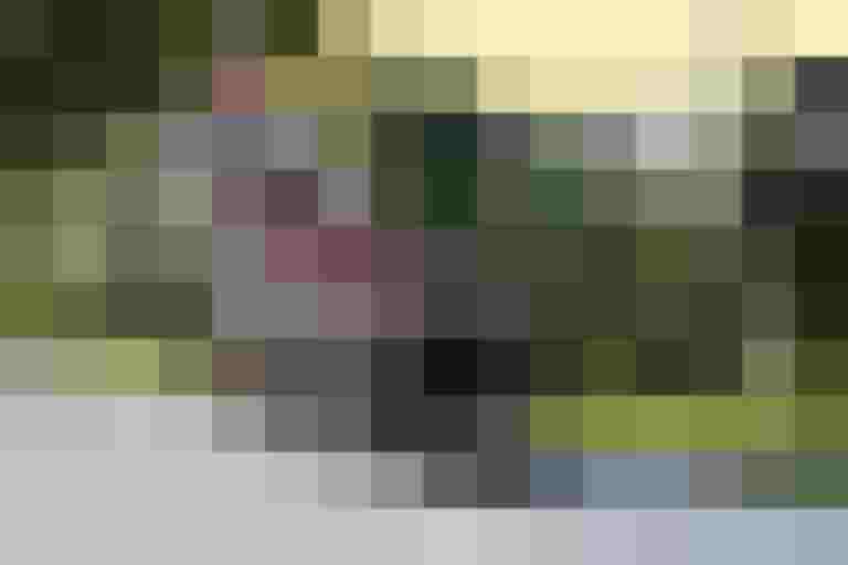 Frau fährt mit zwei Kindern in einem Lastenrad entlang einer Straße in Salzburg.