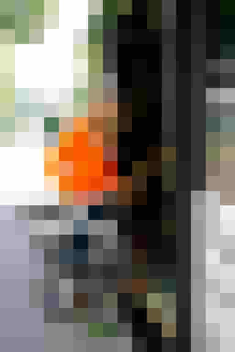 Frau mit faltbarem Fahrrad steigt in einen Bus in Salzburg, Symbol für nachhaltige Mobilität.