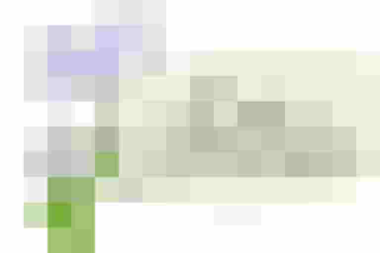 Junge Person mit Plakat über Sonderfinanzierung für Jugendmobilitätsprojekte.