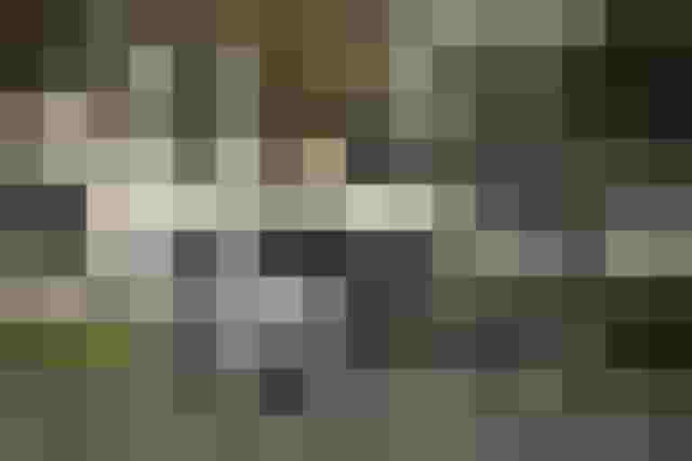 Radkompetenz-Webinare