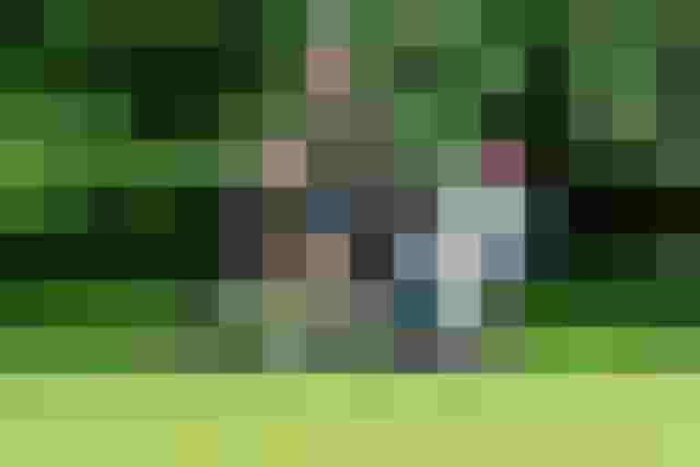 Vater fährt mit zwei Kindern auf einem Lastenrad durch eine grüne Wiese.