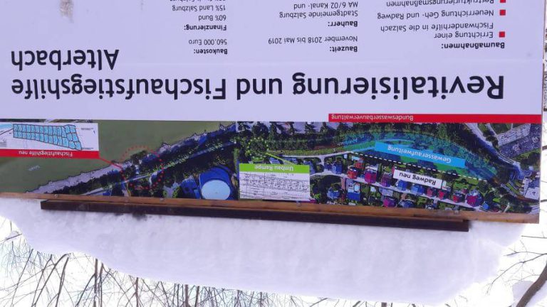 Informationstafel zur Revitalisierung und Fischaufstiegshilfe am Alterbach in Salzburg.