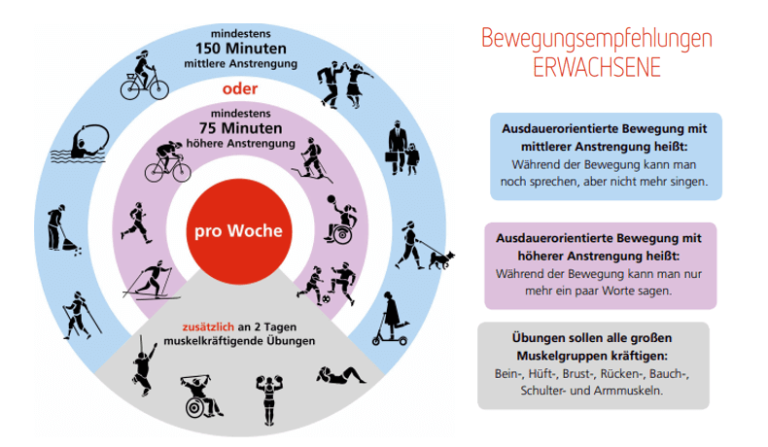 Bewegungsempfehlungen für Erwachsene: Mindestens 150 Minuten mittlere oder 75 Minuten hohe Anstrengung pro Woche.