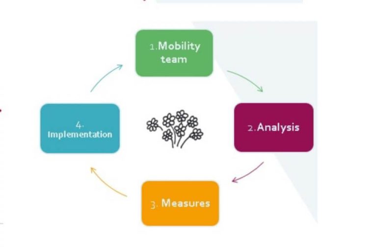 Visualisierung des Mobilitätsmanagement-Prozesses für Bildungseinrichtungen.