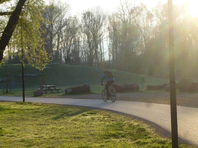 Radfahrer auf einem sonnigen Weg in einem Park mit Bäumen und Wiese in Salzburg.