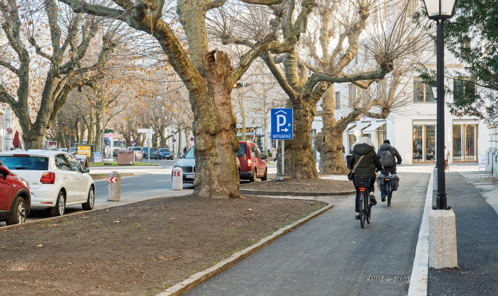 Zwei Personen radeln auf einem abgetrennten Radweg entlang einer Baumallee in Salzburg