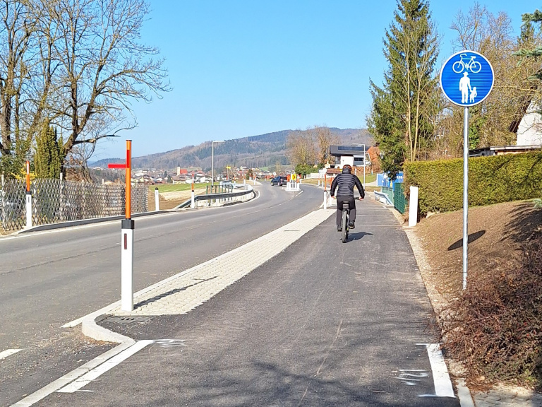 Radfahrer auf einem baulich getrennten Geh- und Radweg entlang einer Straße, daneben ein blaues gemeinsames Wegeschild