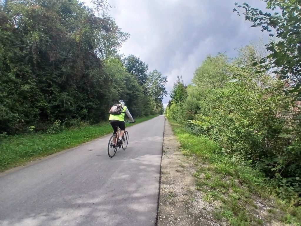 Radfahrerin fährt auf einem frisch asphaltierten Weg zwischen dichtem Grün